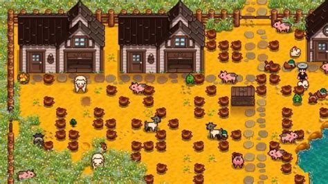truffle gift stardew